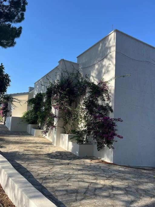 Villa Bouganville 2 Ostuni Exterior photo