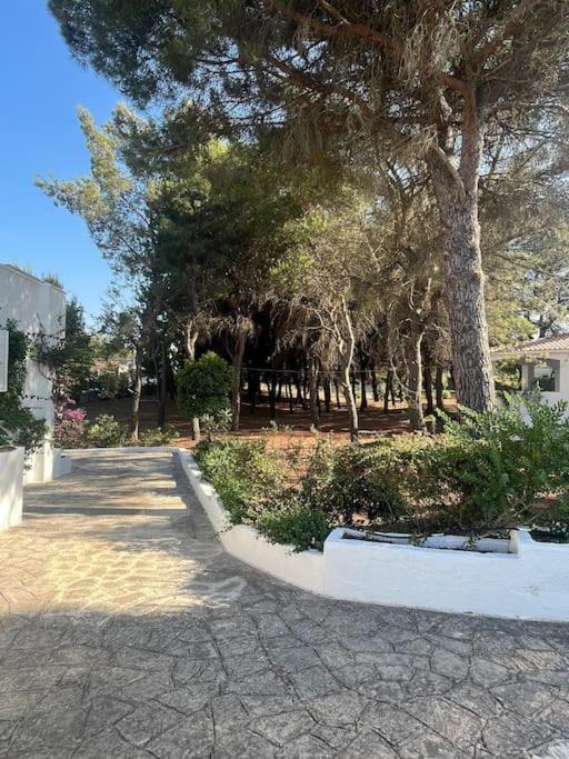 Villa Bouganville 2 Ostuni Exterior photo